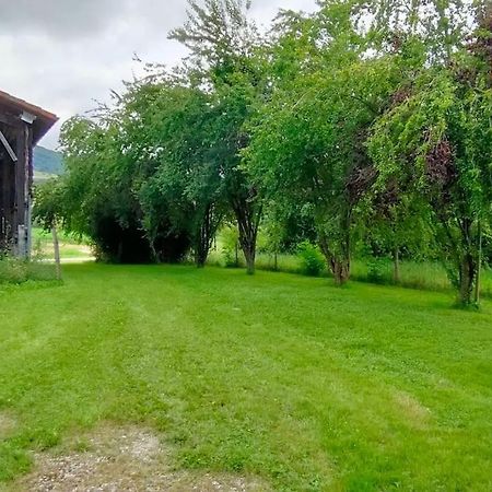 Superbe Demeure Au Coeur Des Pyrenees Ariegeoises Villa Montels  Eksteriør bilde