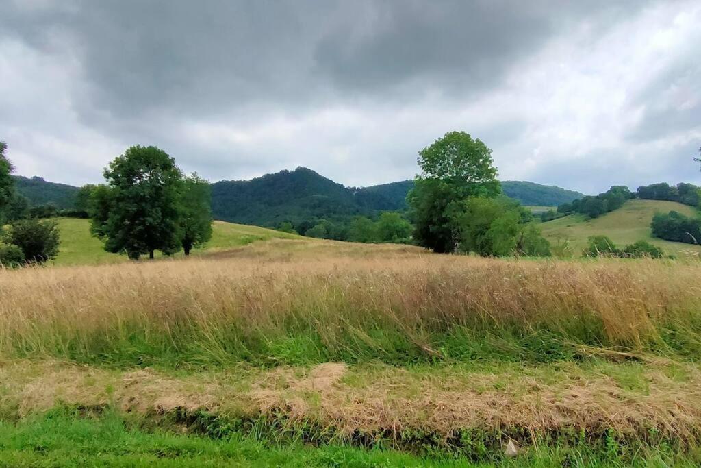 Superbe Demeure Au Coeur Des Pyrenees Ariegeoises Villa Montels  Eksteriør bilde